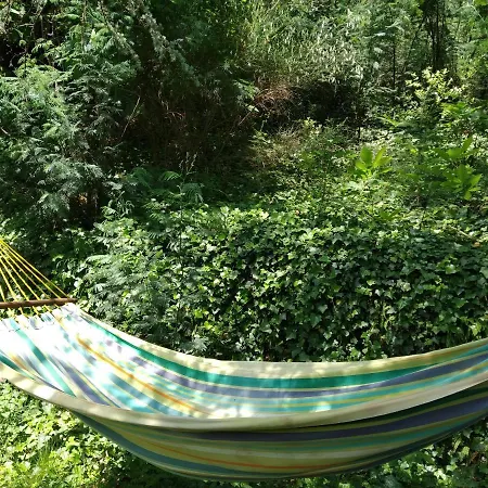 Pura Vida B&B