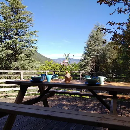 B&B Pura Vida 발레로그