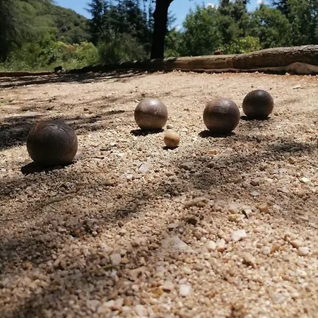 Pura Vida Panzió Valleraugue