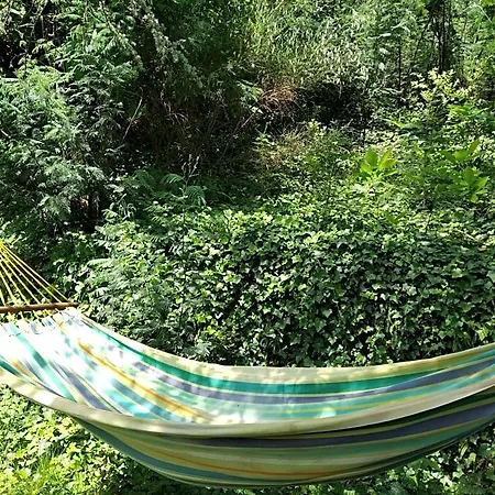 Pura Vida