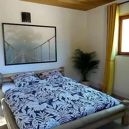 Pura Vida 3*
